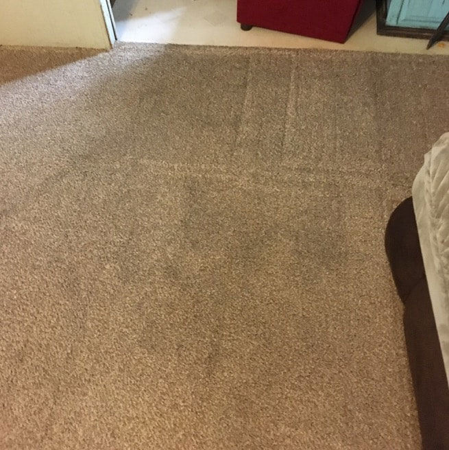 Clean carpet close up