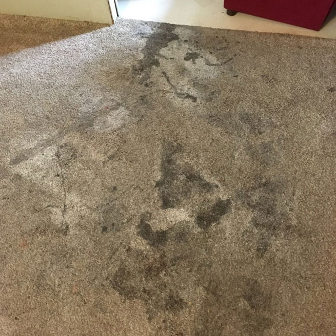 Dirty Carpet with Old Stains