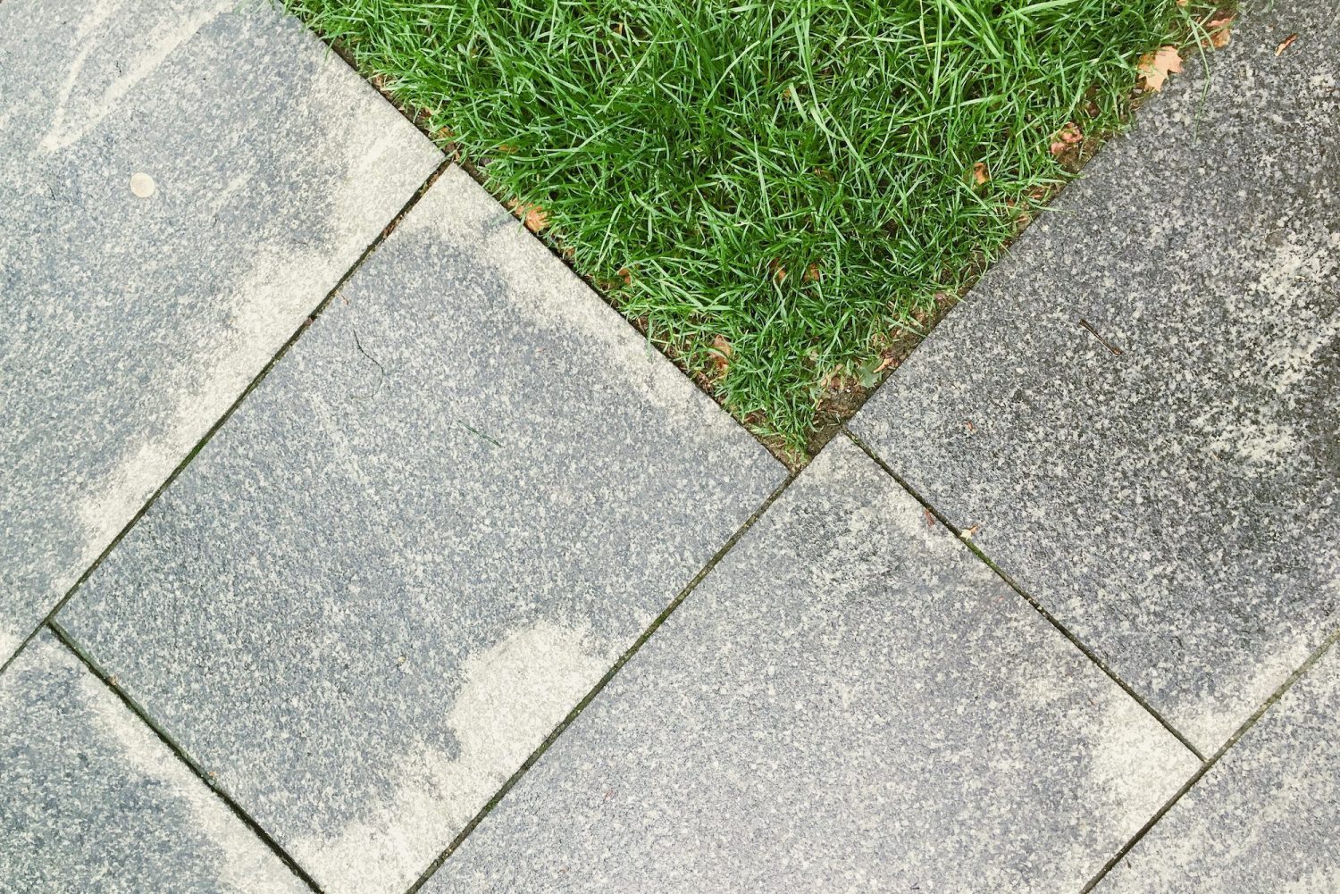 Sidewalk Concrete floor with grass