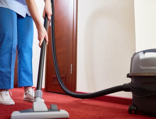 Professional Carpet Cleaning Methods – Everything You Need to Know